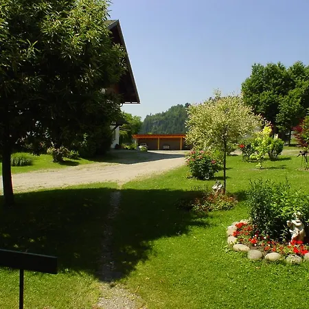 Apartment Schutzenhofer *